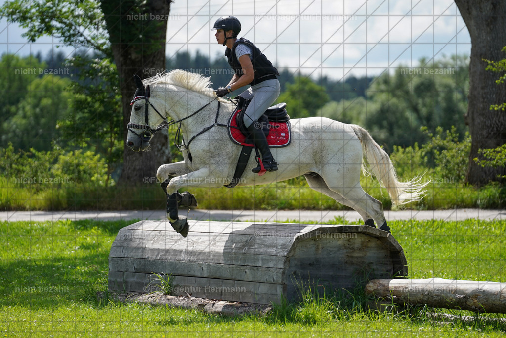 20240622-FAH07741 | Turnierfotografen Bayern, Reitsportbilder aus dem Geländekurs mit Felix Etzel auf dem Gut Waitzacker 2024