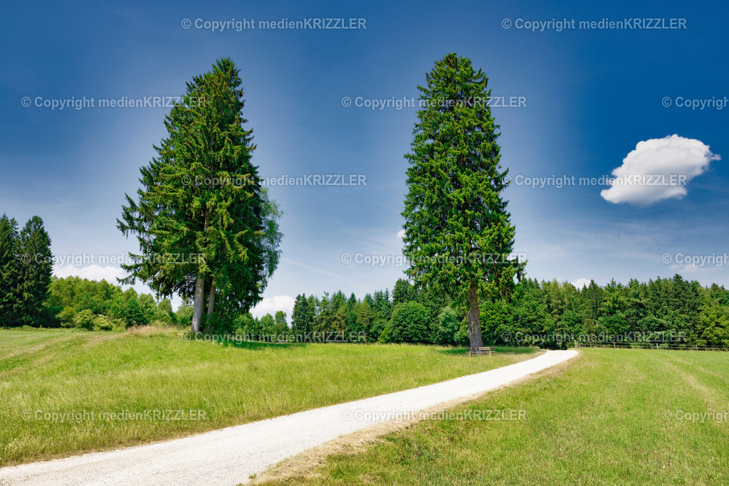 _J3A1335 | medienkrizzler - Realisiert mit Pictrs.com