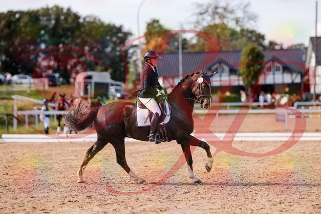 2026_10_03_Siefer-Hof_132536_Z81_77019842 | Professionelle Reitsport-, Turnier- und Eventfotografie von Robert Broda. Galerien mit ausgewählten und bearbeiteten Bildern direkt online ansehen und bestellen.