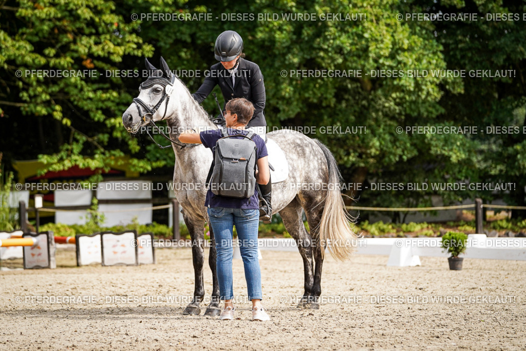 DSC07846 | Pferdegrafie