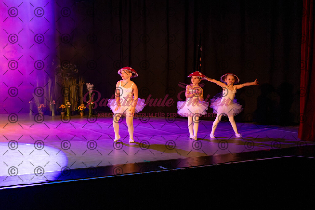 Ballettaufführung-45 | Bildershop Lem'n Entertainment - Realisiert mit Pictrs.com