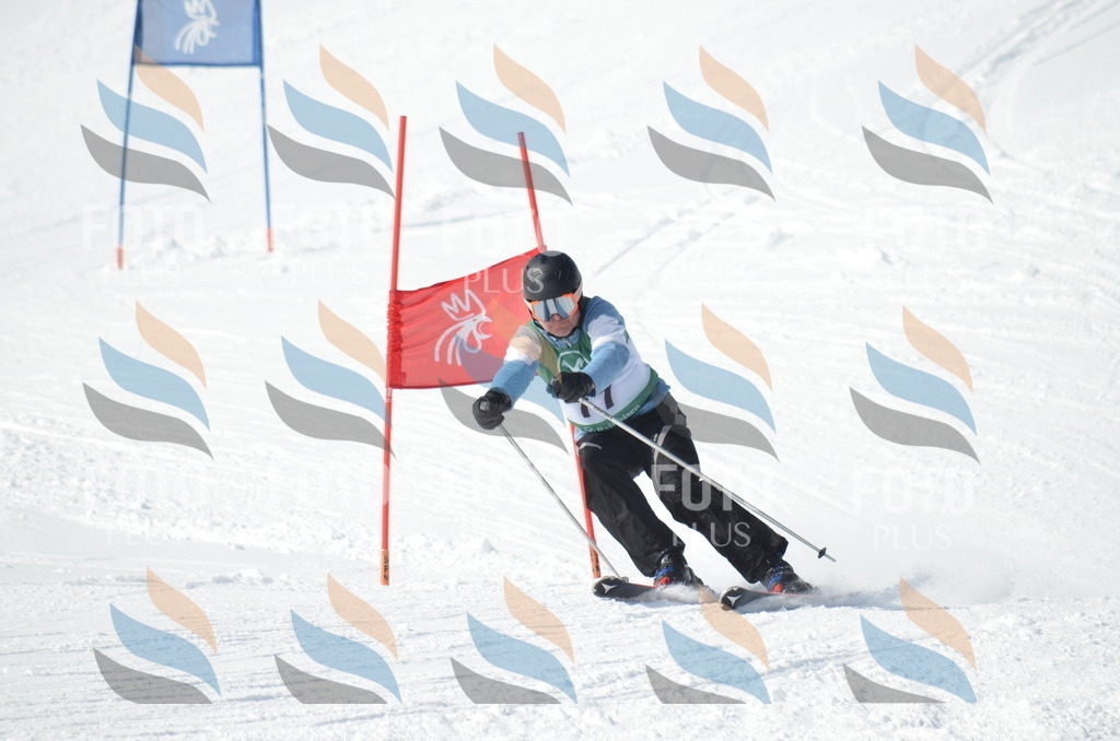 D8977 | holidayphoto