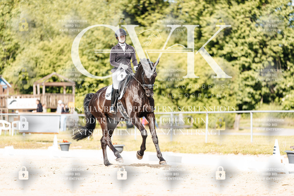 CK900201 | Turnierfotografie Pferdefotografie Trier Rheinland-Pfalz Pferdesport Reitsport Tierfotografie Sportfotografie Pferdevideo Pferdevideografie Equestrianvideography equestrianphotography  - Realisiert mit Pictrs.com