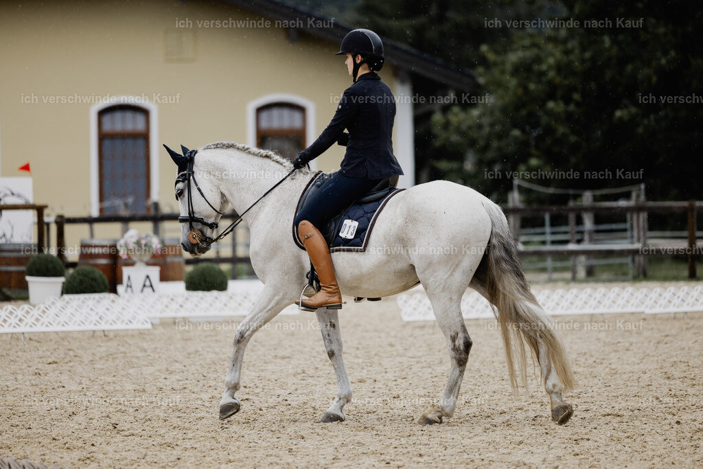 Svea13FHC2025-24599 | working equitationturnier fotograf videograf stoibphotography marixx film working equitation deutschland reitsport turnierfotografie eventfotografie equestrian events
