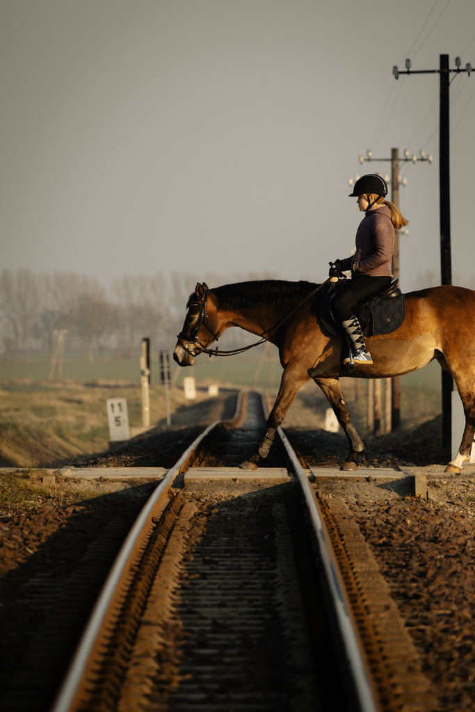 Der Ritt | Ich bin ein Fotograf aus Berlin und fotografiere aus Spaß an der Freude :) Meinen Motiven setze ich keine thematischen Grenzen. Somit bin ich beispielsweise in der Tierfotografie, Landschaftsfotografie, Sportfotografie sowie Streetphotography anzutreffen.