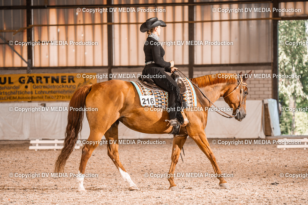 ZH100204 | dv-media-shop - Realisiert mit Pictrs.com