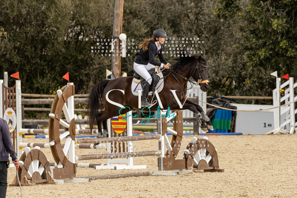 IMG_4539 | s-jay-photography - Realisiert mit Pictrs.com