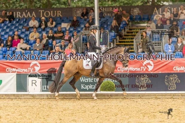 28-8-26 5j DRE-1059 | mandyhollmannphotographie
