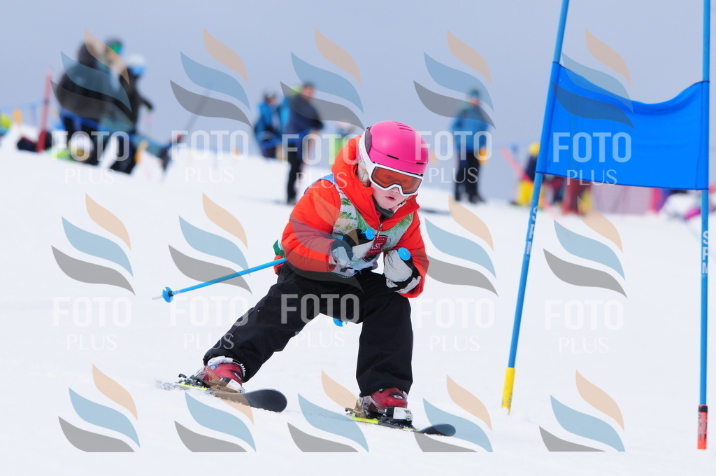 A3555 | holidayphoto