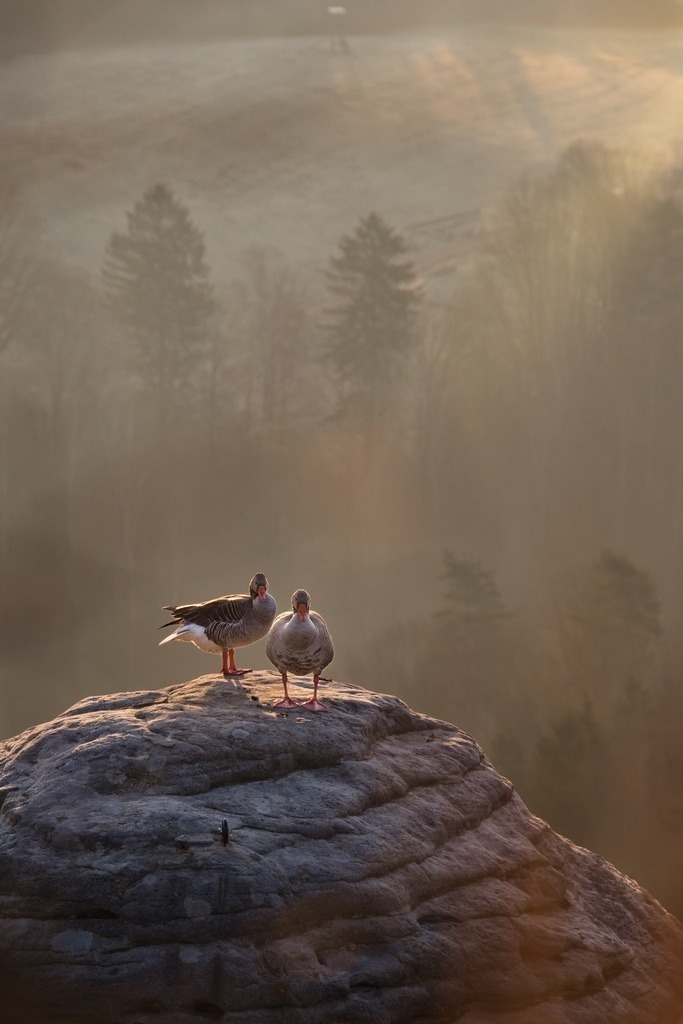 ZFC_8116 | Unvergessliche Erinnerungen in Bildern festgehalten! Ob Hochzeit, Shooting oder Landschaft  - Ich bin dein Fotograf in Erfurt und Umgebung! Photo-Rauch | Sandro Rauch - Realized with Pictrs.com