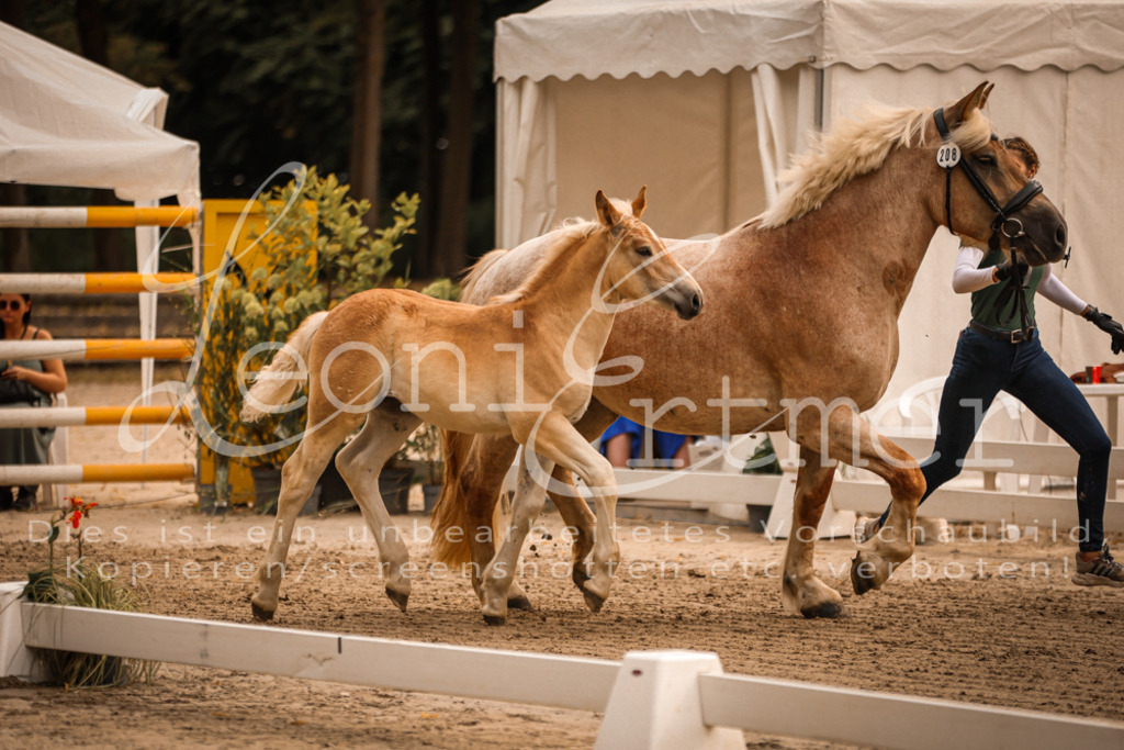 SaSF00073 | Leoni Ertmer Photography - Realisiert mit Pictrs.com