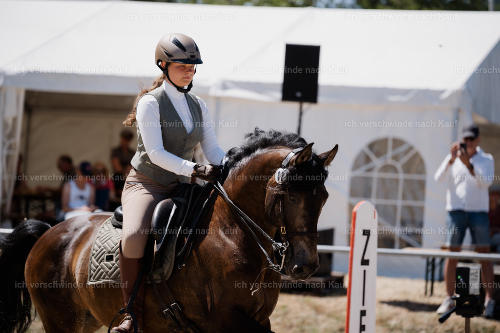 WM_SP_131_Stoibphotography_SO17841 | working equitationturnier fotograf videograf stoibphotography marixx film working equitation deutschland reitsport turnierfotografie eventfotografie equestrian events
