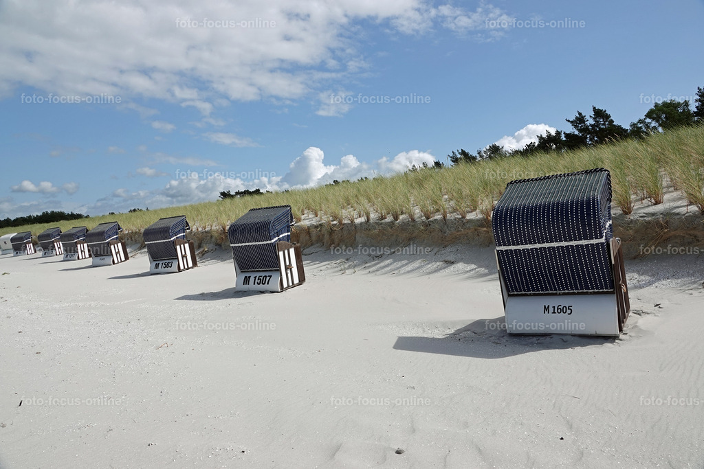 North Beach, Darß | foto-focus-online