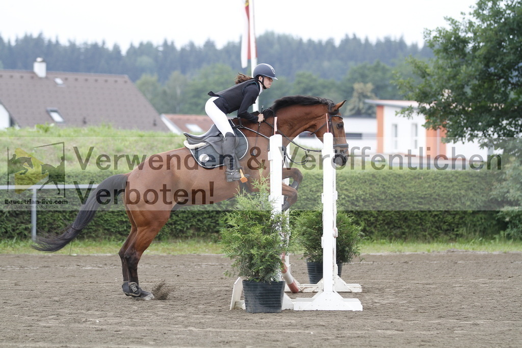 _MG_9593 | equestrian-live-com