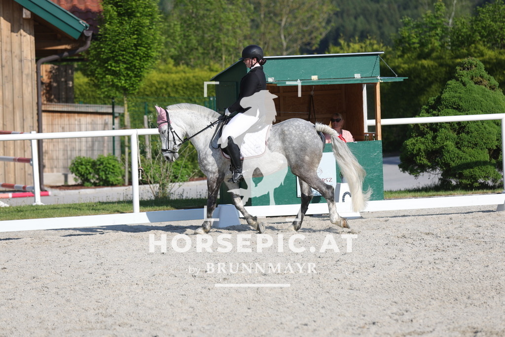 0P6A3632 | Willkommen bei Brunnmayr - Design & Fotografie – Ihrem Spezialisten für Reitturniere und Pferdeveranstaltungen in Oberösterreich, Salzburg und Bayern! Seit über 17 Jahren sind wir leidenschaftlich dabei.