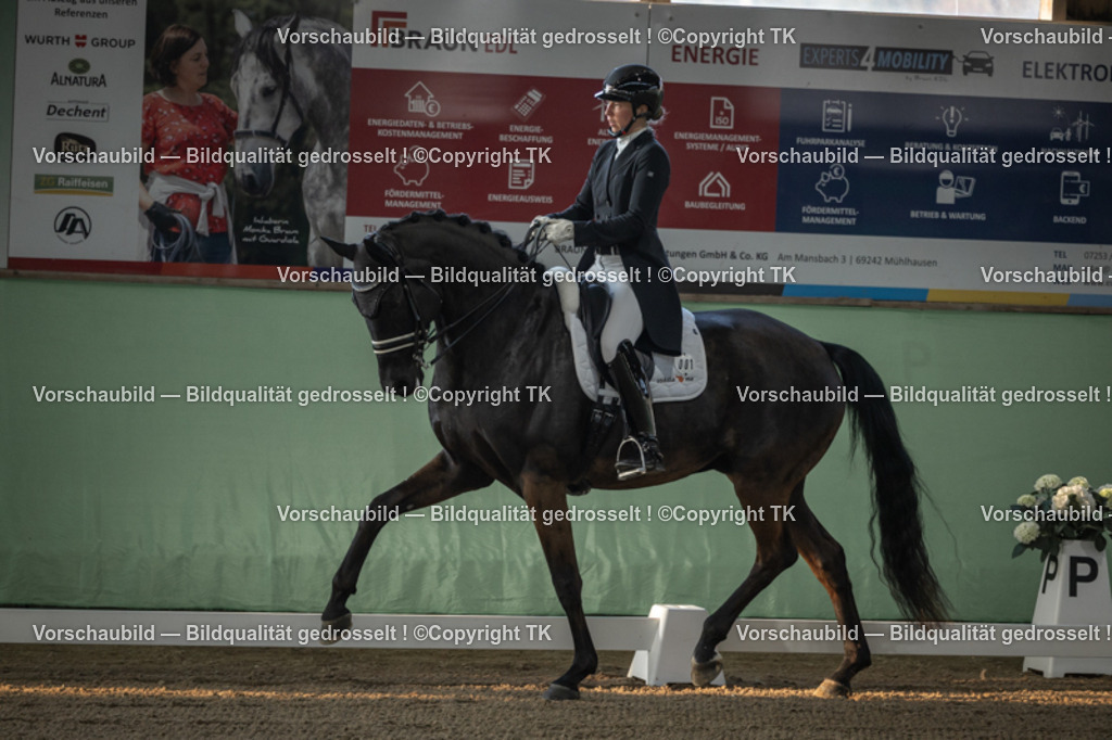 _D5A7649 | Emotionale Pferde- & People-Fotografie rund um Heidelberg, Leimen & Umgebung. Natürliche Fotos von Pferd, Mensch & Familie. Jetzt Termin sichern!