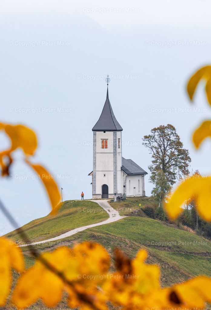 Jamnik-8 | piet_flosse