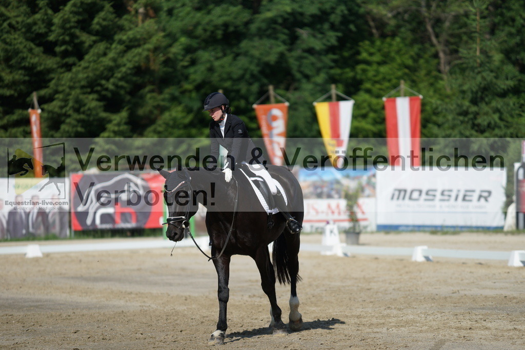 DSC04512 | equestrian-live-com
