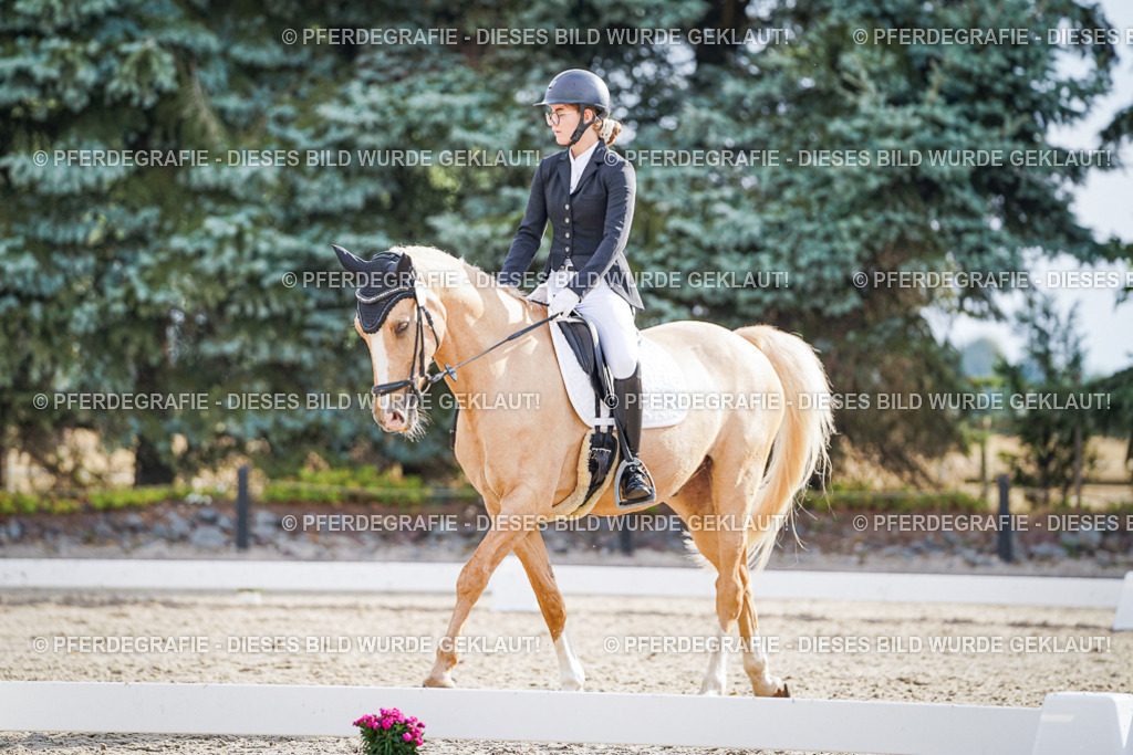 DSC00870 | Pferdegrafie