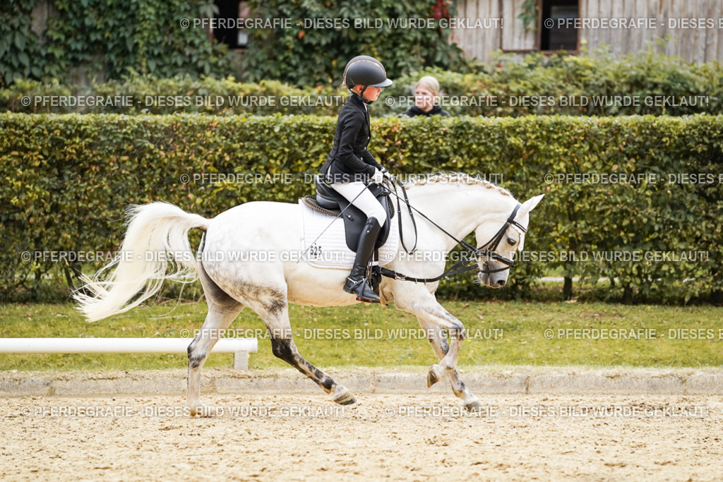 DSC09754 | Pferdegrafie