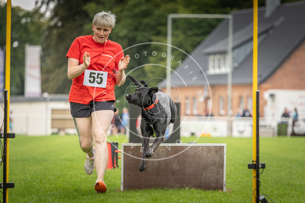 Pfotenfotografie_DV3A5804 | Hundefotografie, Tierfotograf, Pfotenfotografie, Fotoshooting Hund, Hunde Portrait, Hundesport, Hundeportraits, Heideshooting, Hunde, Sportfotograf, Hundefotograf, Turnierhundsport, THS,  - Realisiert mit Pictrs.com