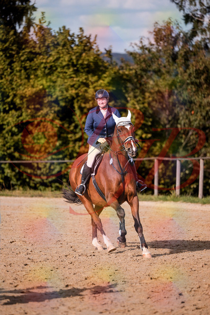 2026_10_03_Siefer-Hof_160658_Z81_88922958 | Professionelle Reitsport-, Turnier- und Eventfotografie von Robert Broda. Galerien mit ausgewählten und bearbeiteten Bildern direkt online ansehen und bestellen.