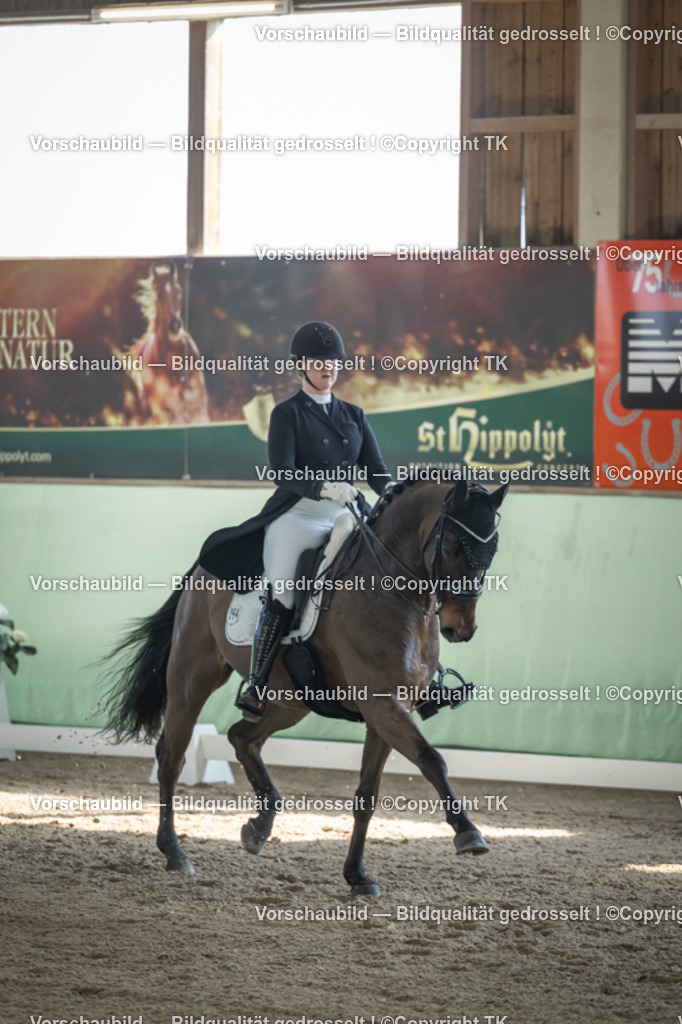 _D5A9915 | Emotionale Pferde- & People-Fotografie rund um Heidelberg, Leimen & Umgebung. Natürliche Fotos von Pferd, Mensch & Familie. Jetzt Termin sichern!