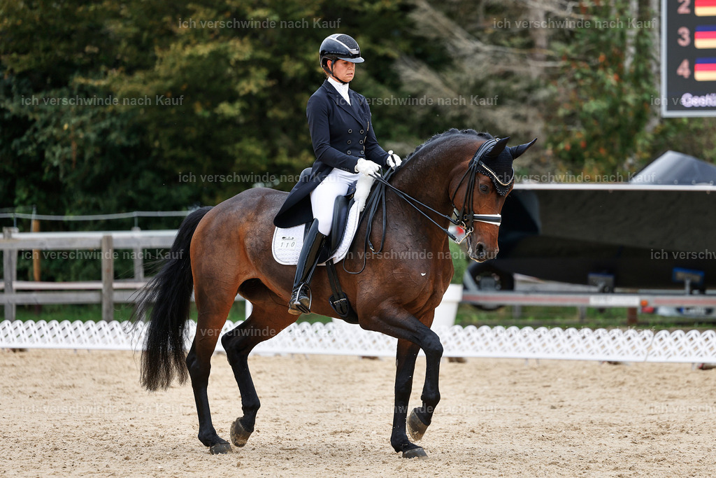 11-110-Dressur S___-StoibPH-1376 | working equitationturnier fotograf videograf stoibphotography marixx film working equitation deutschland reitsport turnierfotografie eventfotografie equestrian events