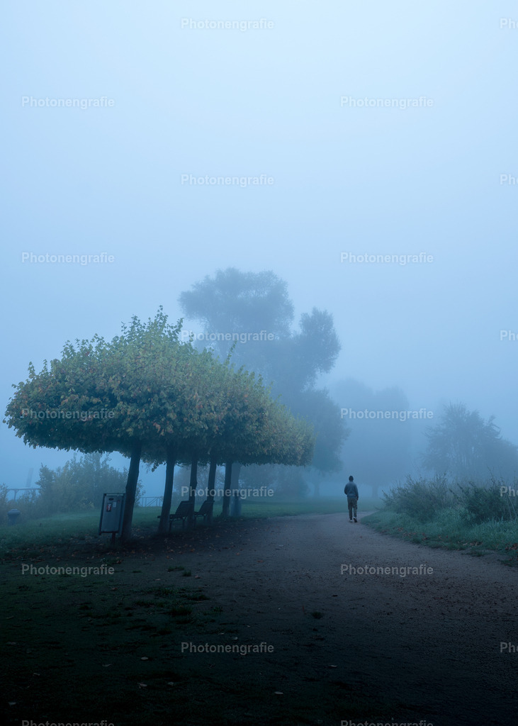 Ingelheim-14 | Photonengrafie´s Shop - Realisiert mit Pictrs.com