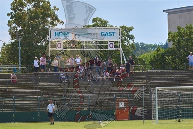 BFC Dynamo vs. VfB Lübeck 1919 012 | mythos-online-redaktion