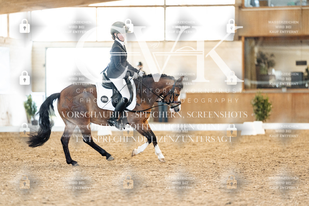 CK907517 | Turnierfotografie Pferdefotografie Trier Rheinland-Pfalz Pferdesport Reitsport Tierfotografie Sportfotografie Pferdevideo Pferdevideografie Equestrianvideography equestrianphotography  - Realisiert mit Pictrs.com