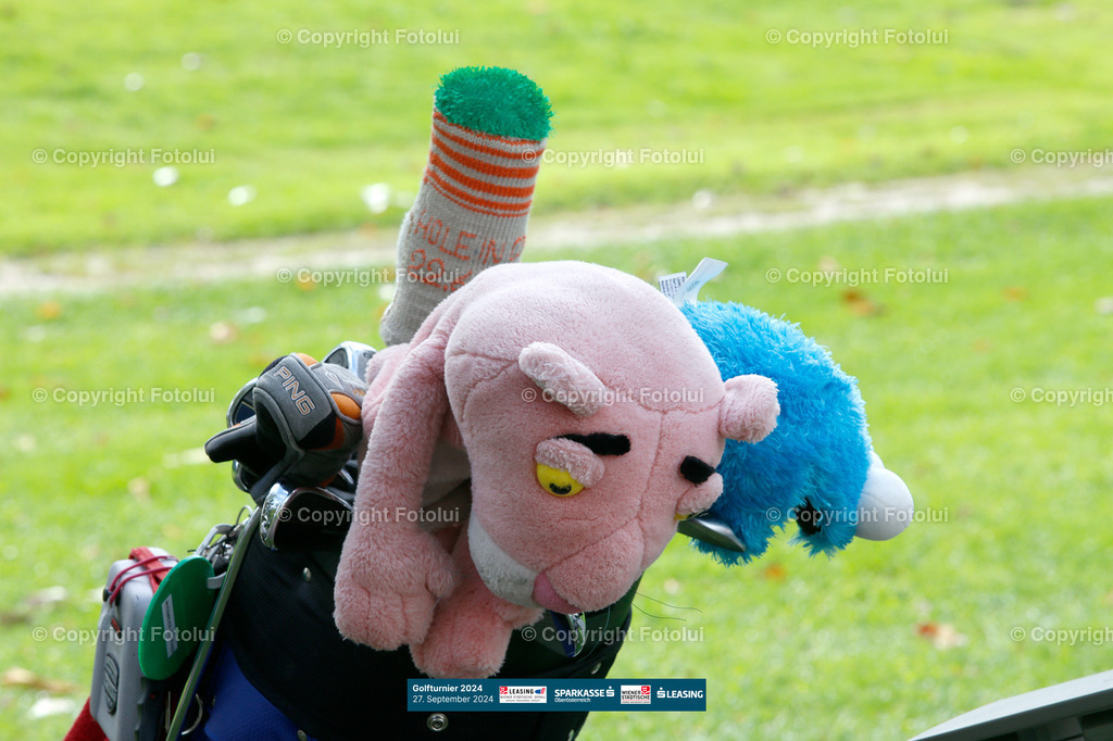 A-BINDER_20240927_0230 | bilder, linz, photo, foto, fussball, sport, fotolui, bundesliga