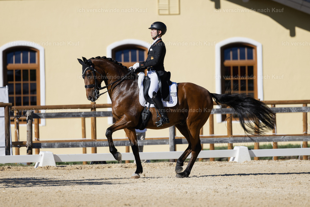 FHC2026_P09_22_18470 | Fichtenhof Classics 2026 – Grand Prix de Dressage - VOLTAIRE Design Preis, Reitanlage Fichtenhof, Sch ftlarn