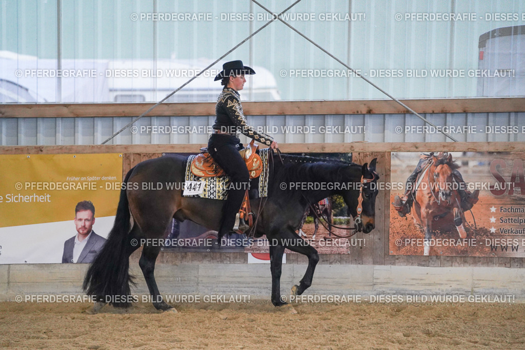 DSC09049 | Pferdegrafie