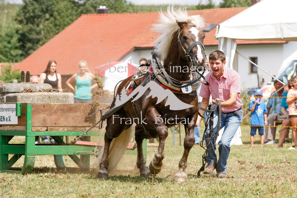15082015-fb-6293 | Leistungsziehen in Poschetsried 2015