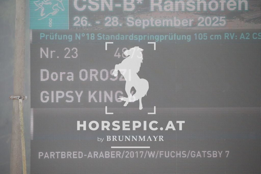 DL2Q3044 | Willkommen bei Brunnmayr - Design & Fotografie – Ihrem Spezialisten für Reitturniere und Pferdeveranstaltungen in Oberösterreich, Salzburg und Bayern! Seit über 17 Jahren sind wir leidenschaftlich dabei.
