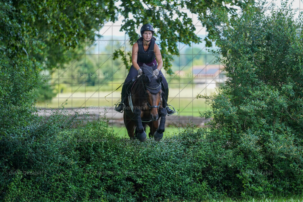 20240622-FAH07710 | Turnierfotografen Bayern, Reitsportbilder aus dem Geländekurs mit Felix Etzel auf dem Gut Waitzacker 2024