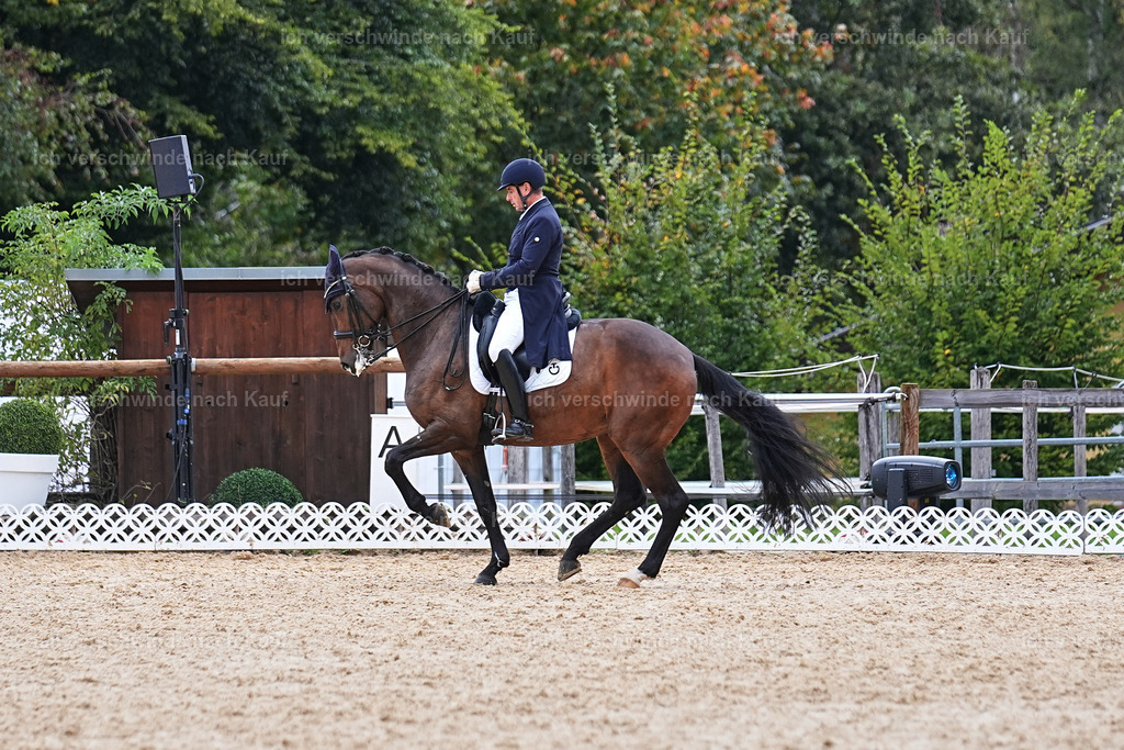 12-226-DRESSUR  S___  -Marixx-5203 | working equitationturnier fotograf videograf stoibphotography marixx film working equitation deutschland reitsport turnierfotografie eventfotografie equestrian events