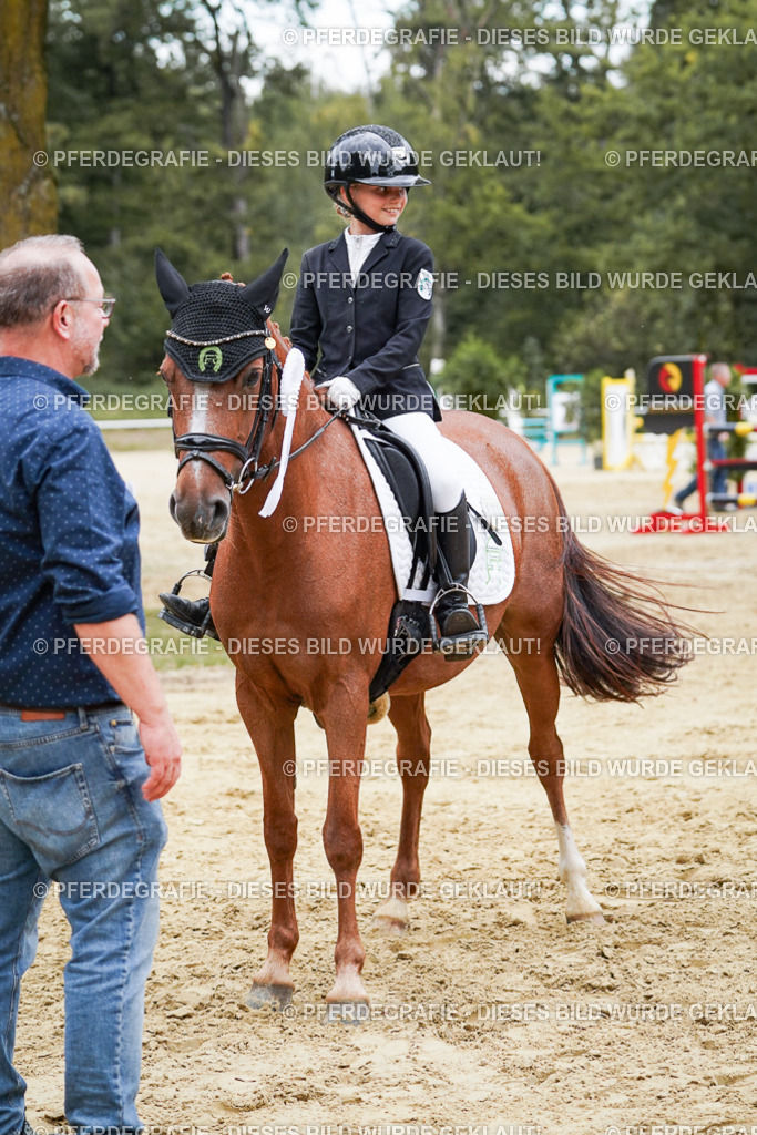 DSC06105 | Pferdegrafie