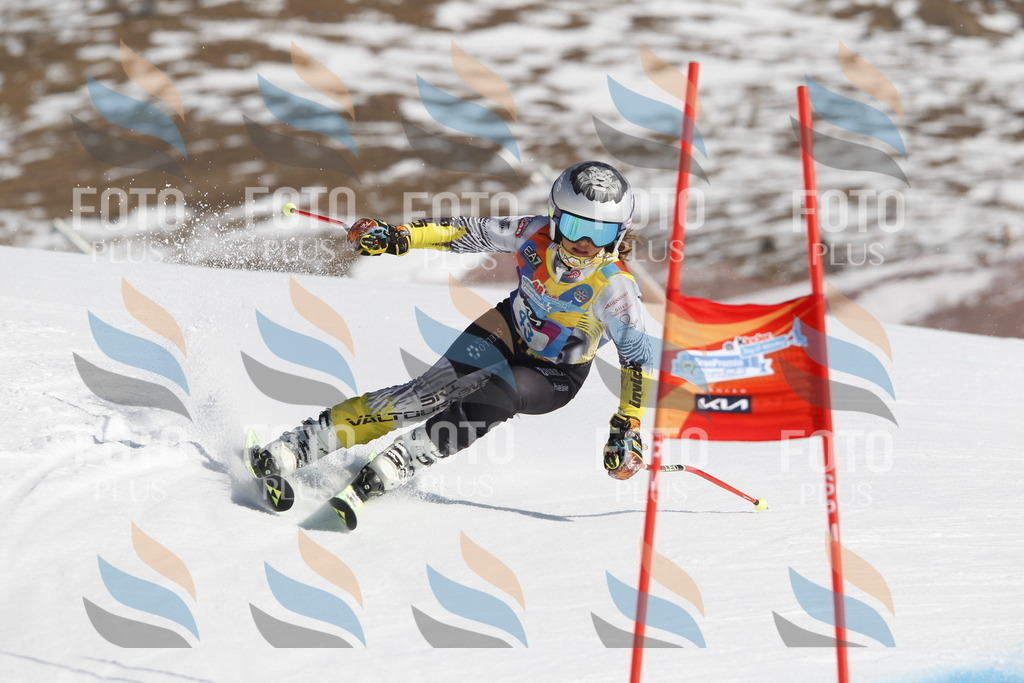 _U3G9270 | holidayphoto