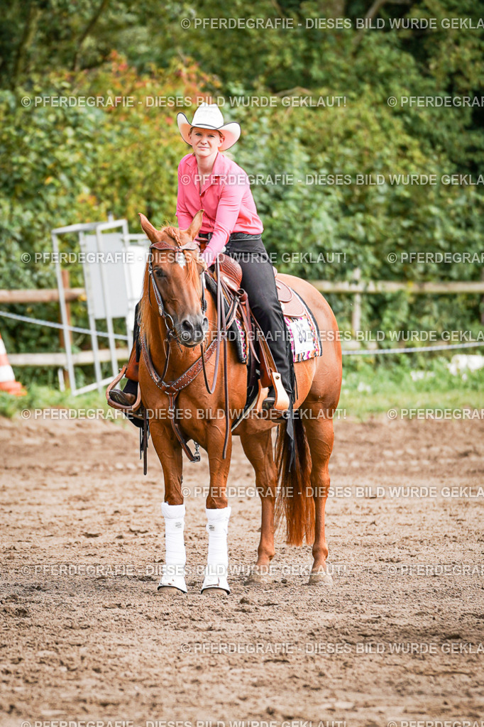 DSC08412 | Pferdegrafie