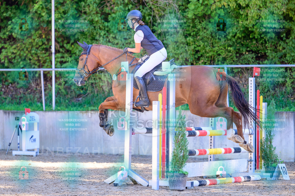 29082026-Giesenbach-Prfg10-0634 | Fokus Hufschlag Fotografie - Realisiert mit Pictrs.com