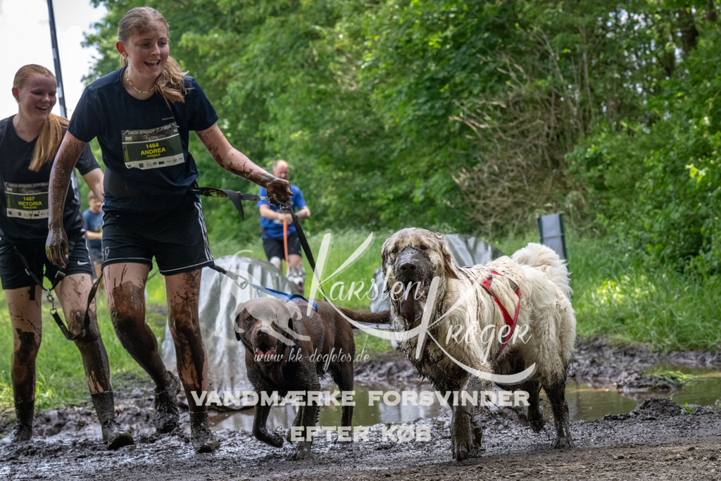 1251_ZZ93945 | kk-dogfotos