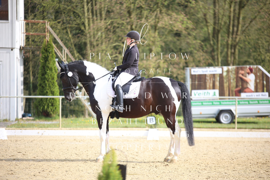 IMGT6439 | pl-fotografie