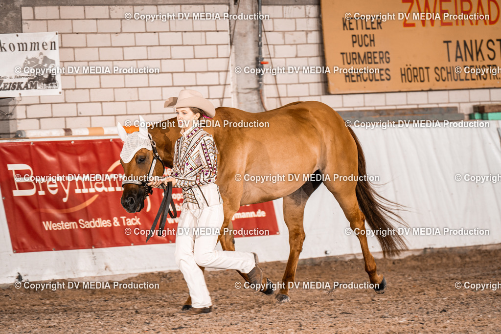 ZH100227 | dv-media-shop - Realisiert mit Pictrs.com