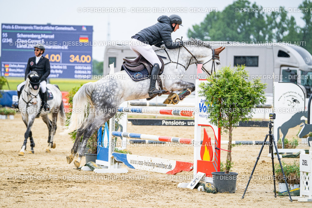 DSC08371 | Pferdegrafie