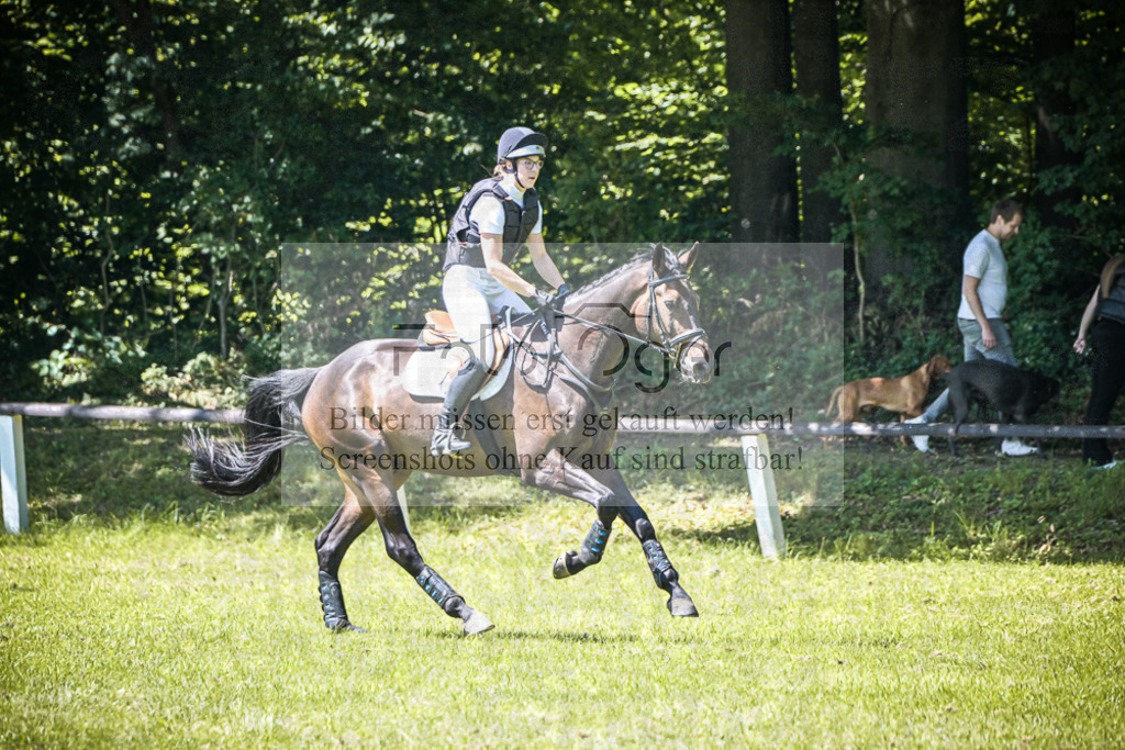 DOS_3129 | Entdecke hochwertige Reitturnierfotos von Foto Oger. Professionell, emotional und authentisch – jetzt Lieblingsmomente im Shop bestellen.Deutschlandweite Turnierfotografie. - Realisiert mit Pictrs.com