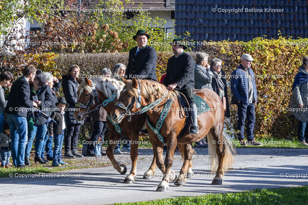 LBT24-768 | foto-bettina-krinner - Realisiert mit Pictrs.com