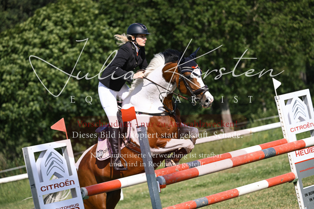 DSC_1110 | Pferde- und Turnierfotografie in Westsachsen. Pferdeportraits, Auftragszeichnungen und intuitive Kunst.