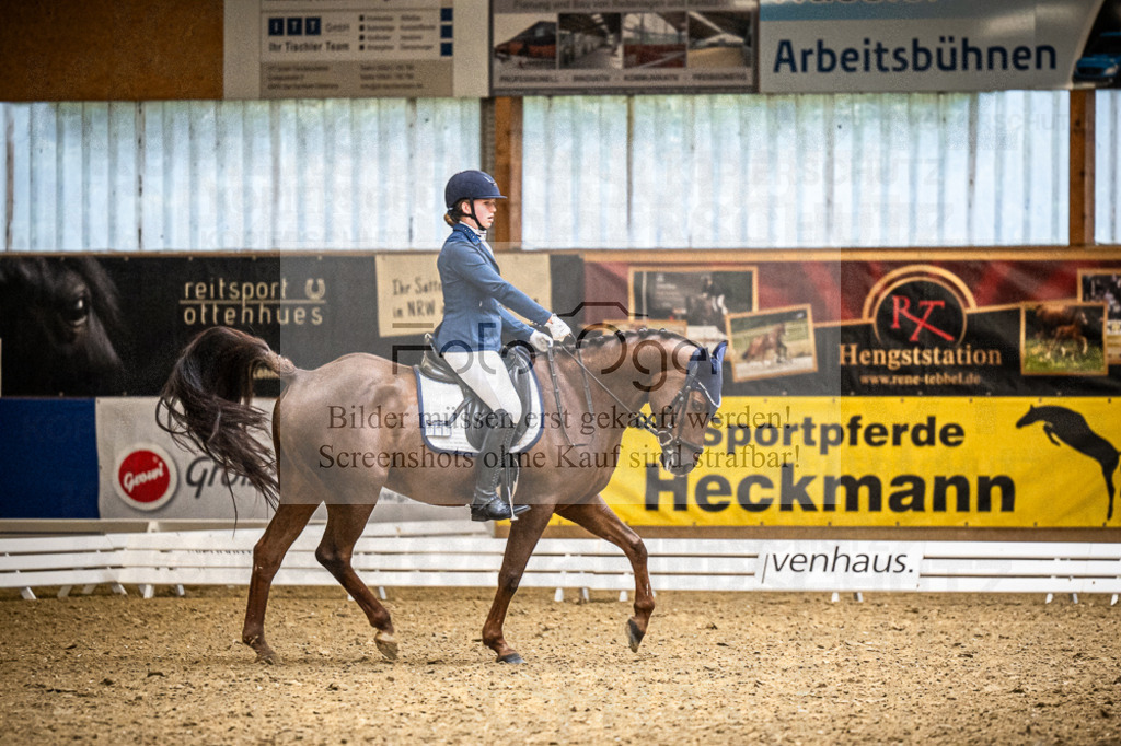 DOS_3515 | Entdecke hochwertige Reitturnierfotos von Foto Oger. Professionell, emotional und authentisch – jetzt Lieblingsmomente im Shop bestellen.Deutschlandweite Turnierfotografie. - Realisiert mit Pictrs.com